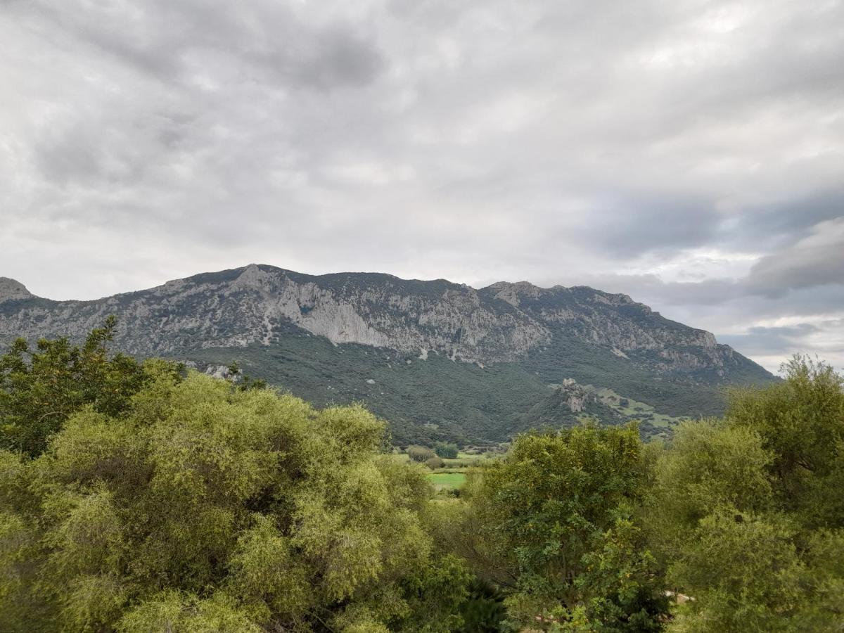 Agriturismo Palas De Serra Country Resort Onifai Dış mekan fotoğraf