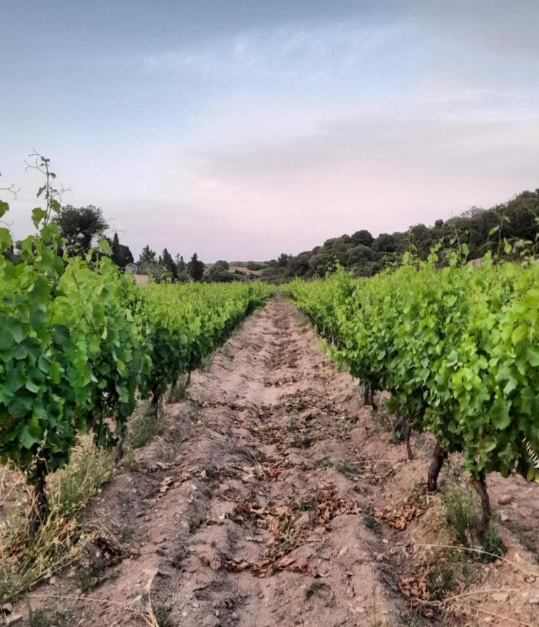 Agriturismo Palas De Serra Country Resort Onifai Dış mekan fotoğraf
