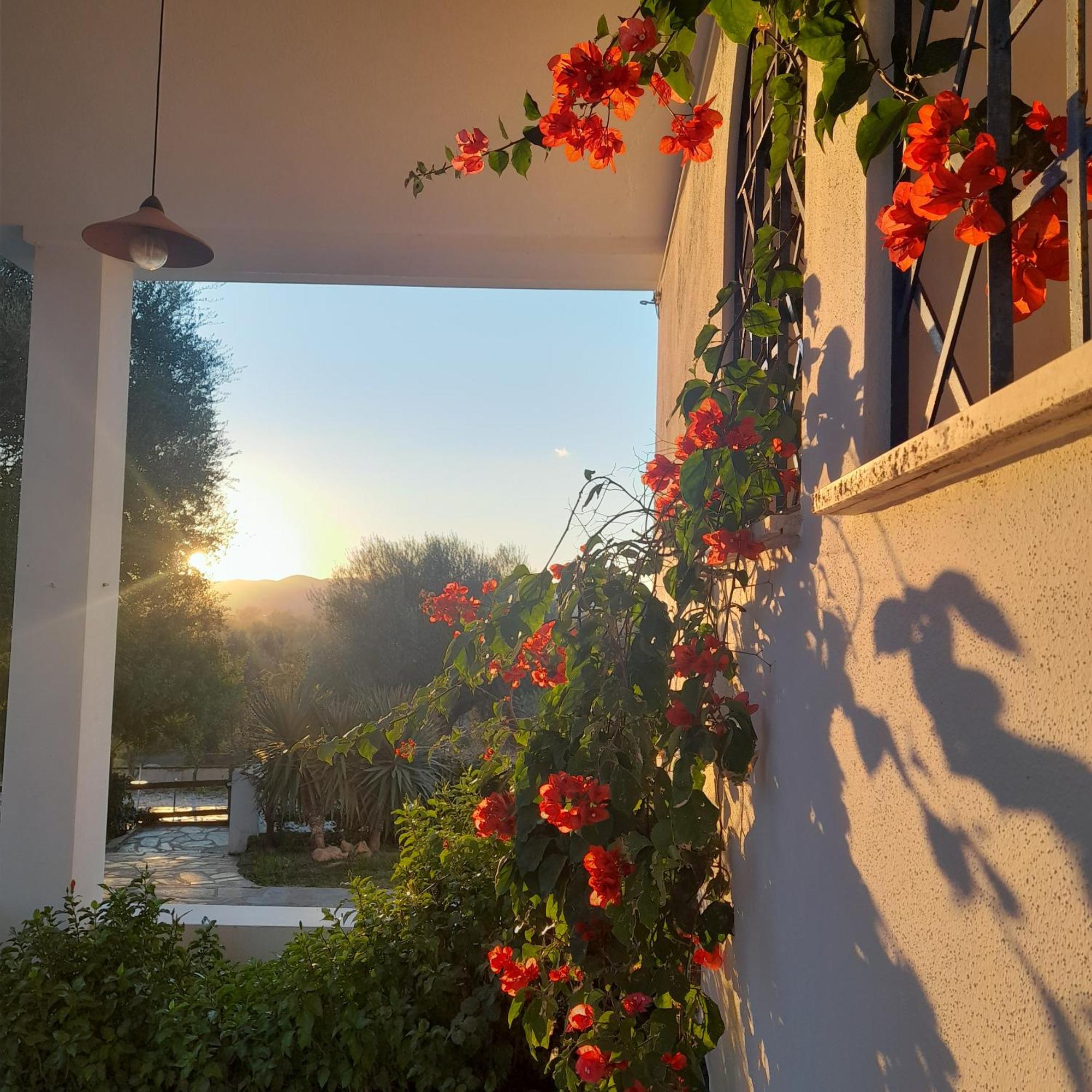 Agriturismo Palas De Serra Country Resort Onifai Dış mekan fotoğraf