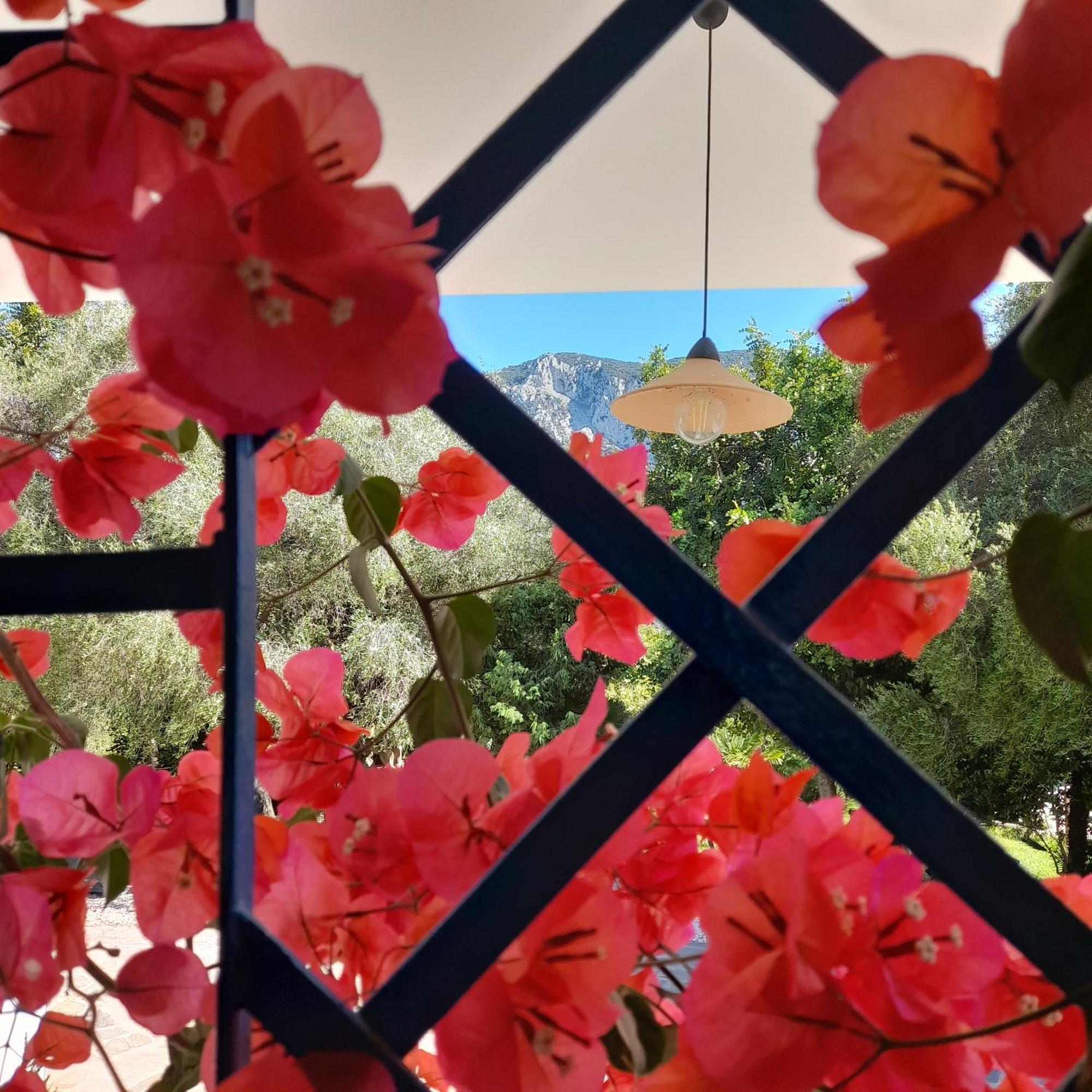 Agriturismo Palas De Serra Country Resort Onifai Dış mekan fotoğraf